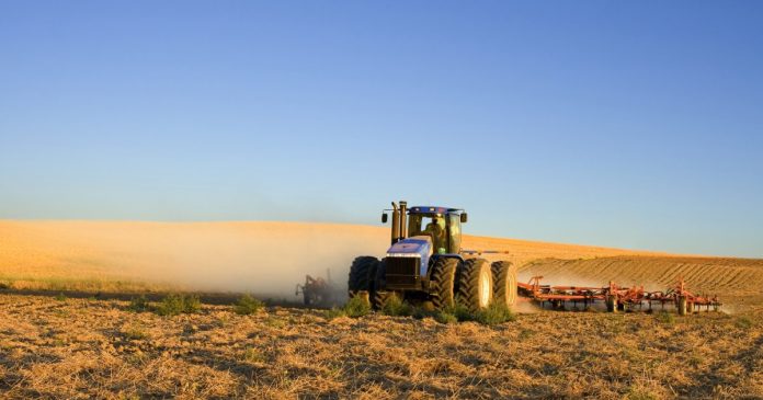 La Junta eleva hasta 16,6 M€ el presupuesto para la contratación de seguros agrarios en Andalucía