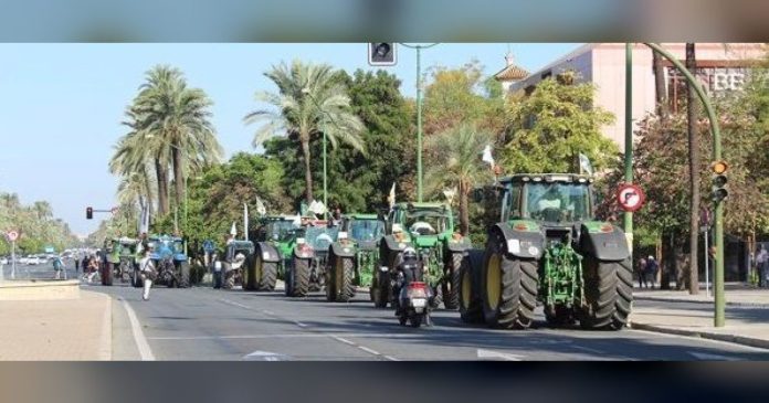 ASAJA, COAG Y UNIÓN DE UNIONES convocan una gran tractorada en Madrid el 28 de Octubre por un campo con futuro