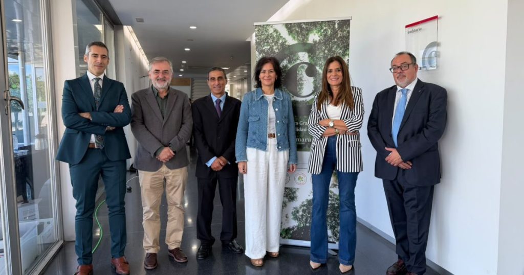 La Cámara de Sevilla se une al nuevo Círculo Cameral de Sostenibilidad para impulsar alianzas y competitividad empresarial