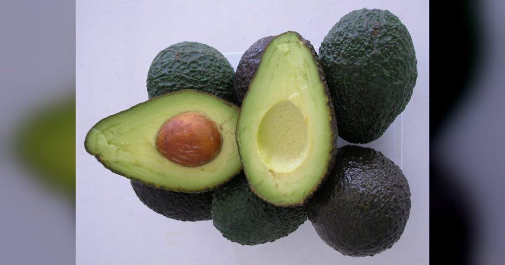 La producción de aguacate de Andalucía crece casi un 45% en volumen y un 35,5% en valor en 2025-2026