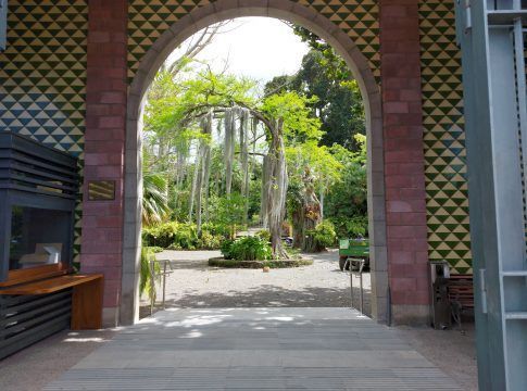 El Jardín Botánico reabre al público tras dos meses de obras para mejorar la accesibilidad