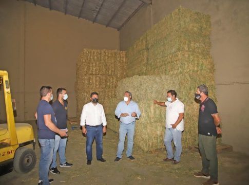 Reunion del Cabildo con representantes de los ganaderos