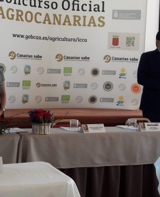 Un total de 181 vinos compiten por convertirse en el mejor de Canarias