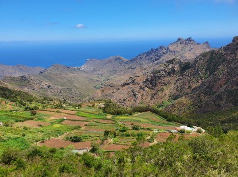 El ICIA investiga la regeneración de suelos degradados para incrementar la resiliencia al cambio climático