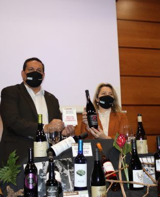 Finca Parque Los Olivos tinto, de Arico (Tenerife), elegido mejor vino de Canarias 2021