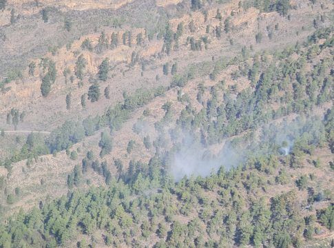 El Gobierno de Canarias declara controlado el incendio forestal de Arico, en Tenerife