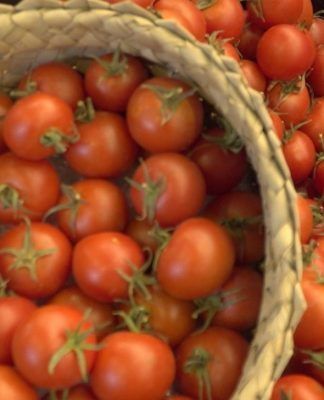 El Gobierno canario concede ayudas por 1,7 millones para el comercio exterior de tomate