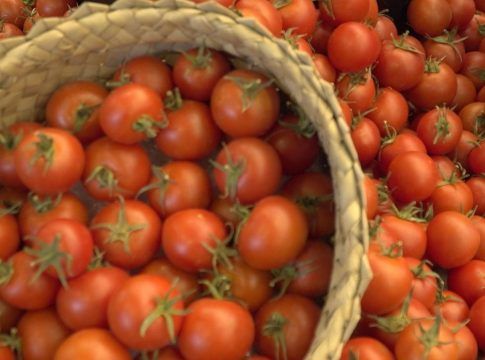 El Gobierno canario concede ayudas por 1,7 millones para el comercio exterior de tomate