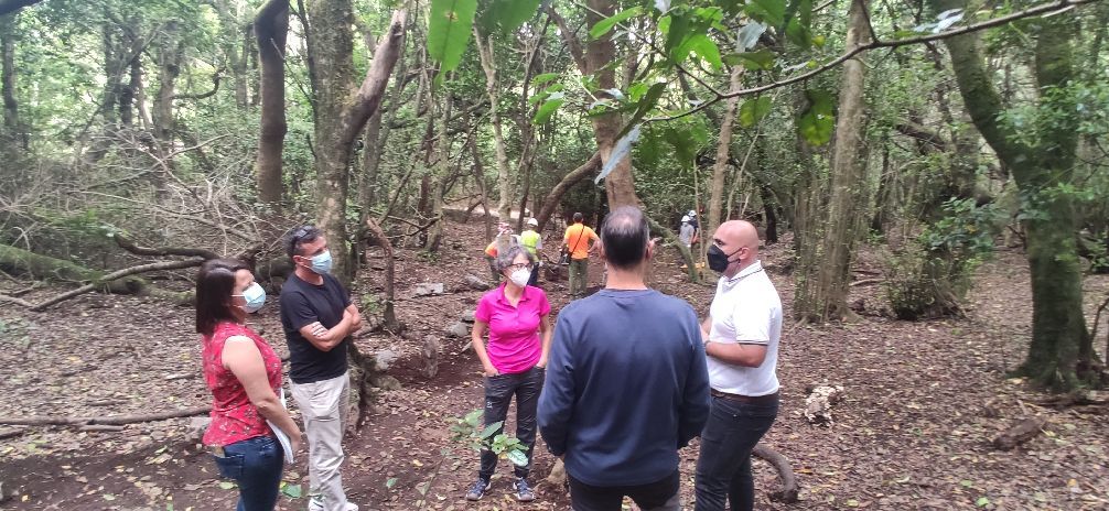 Gesplan y el Cabildo de Tenerife facilitan la realización de prácticas formativas en materia medioambiental