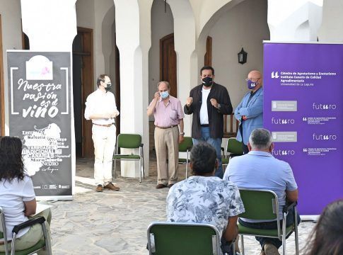 La ULL y la Denominación de Origen de Vinos Abona apuestan por la profesionalización del enoturismo