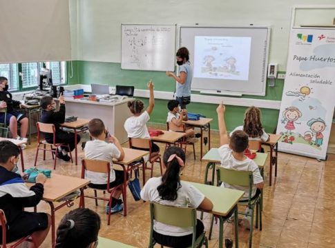 Más de 1.000 menores de la capital tinerfeña disfrutaron del proyecto ‘Pequehuertos’ en este curso escolar