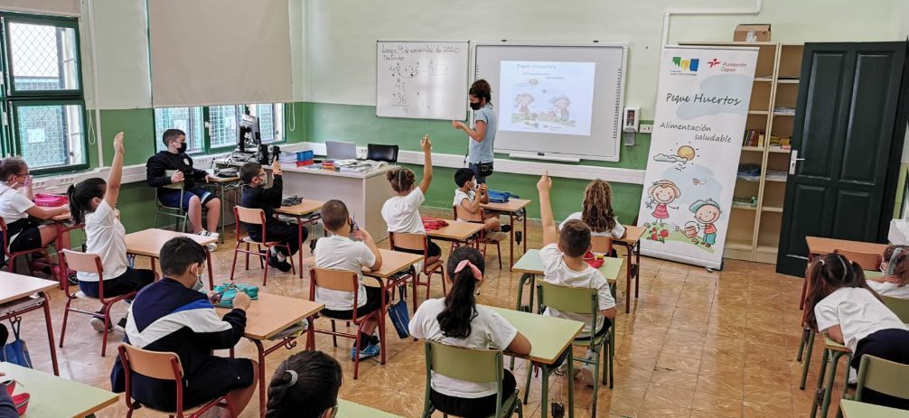Más de 1.000 menores de la capital tinerfeña disfrutaron del proyecto ‘Pequehuertos’ en este curso escolar