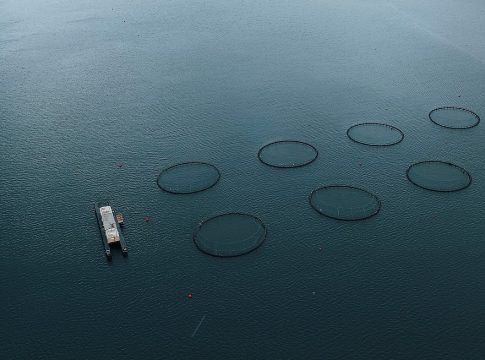 El Gobierno regional aborda el desarrollo de la acuicultura y la economía azul en las Islas