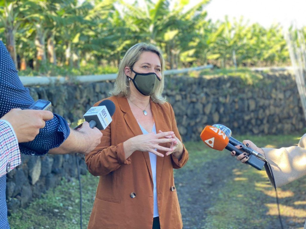 El Ejecutivo regional incrementa en cuatro millones las ayudas a las inversiones en explotaciones agrícolas