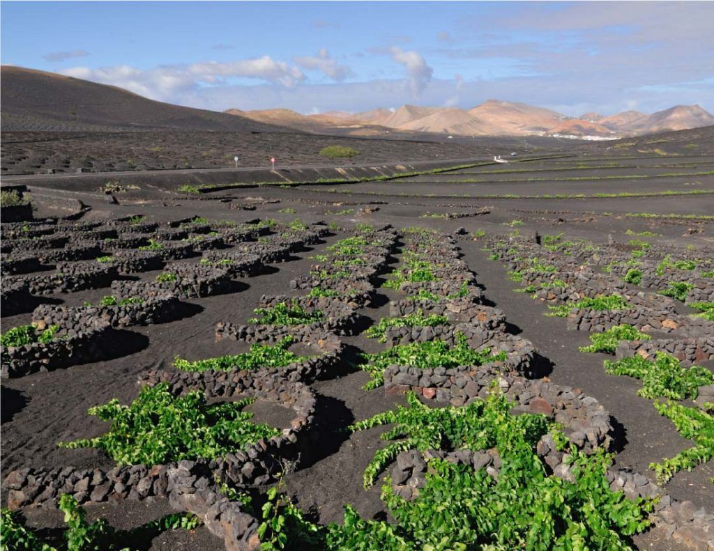 El Círculo de Empresarios de Lanzarote apuesta por la protección del campo y la artesanía de la isla para mantener turismo de calidad