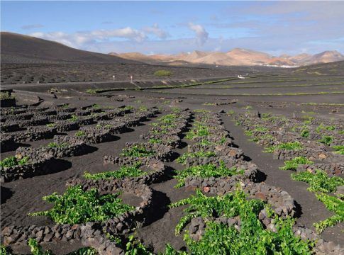 El Círculo de Empresarios de Lanzarote apuesta por la protección del campo y la artesanía de la isla para mantener turismo de calidad