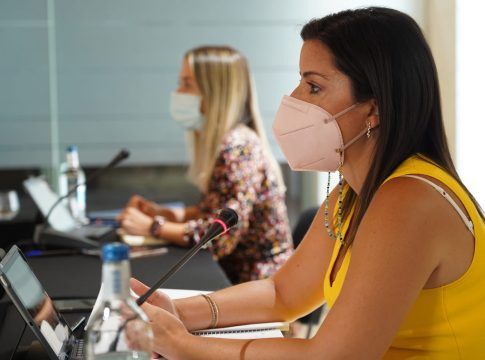 El Consejo Canario de Turismo creará una comisión para priorizar proyectos que optan a fondos europeos