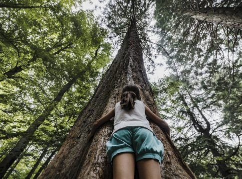 CaixaBank y Fundación La Caja de Canarias convocan ayudas por 30.000 euros para proyectos medioambientales en las islas