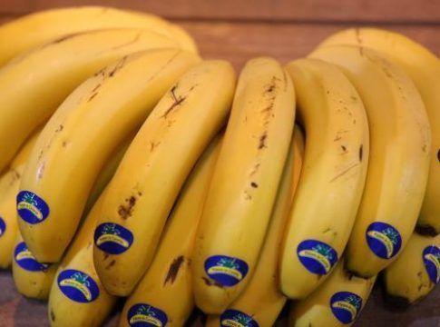 CCOO asegura que trabajadores del plátano de Las Palmas tienen "condiciones laborales dignas de otra época"