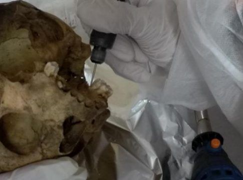 ULPGC y ULL estudiarán los restos de aborígenes canarios que se conservan en el Musée de l'Homme de París