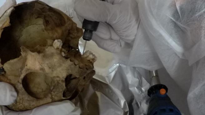ULPGC y ULL estudiarán los restos de aborígenes canarios que se conservan en el Musée de l'Homme de París