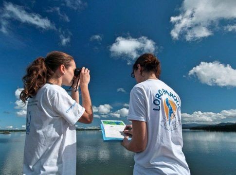 Loro Parque Fundación premia los mejores Trabajos de Fin de Grado en Ciencias de la ULL