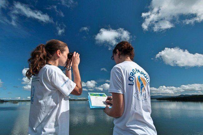 Loro Parque Fundación premia los mejores Trabajos de Fin de Grado en Ciencias de la ULL