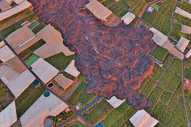 Acuerdan un ERTE que evita despidos masivos en el sector platanero de La Palma