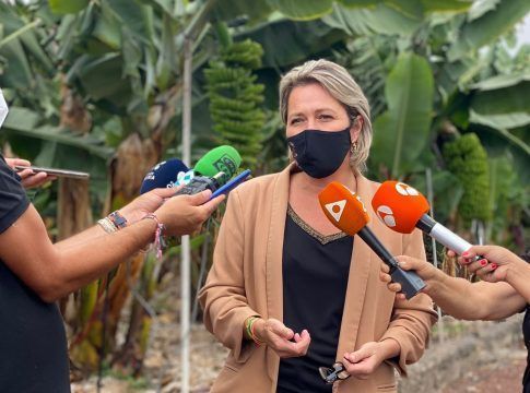 El Gobierno de Canarias garantiza las ayudas por las pérdidas en el sector agrario de La Palma
