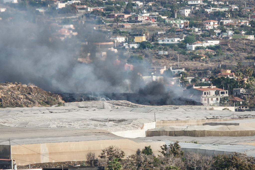 El Gobierno canario amplía el plazo de justificación de las subvenciones al sector afectado por el volcán