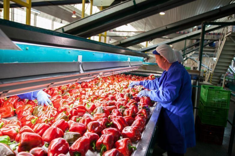 Andalucía lidera el sector agroalimentario español, representando el 20,4% del valor añadido bruto generado por el sector a nivel nacional
