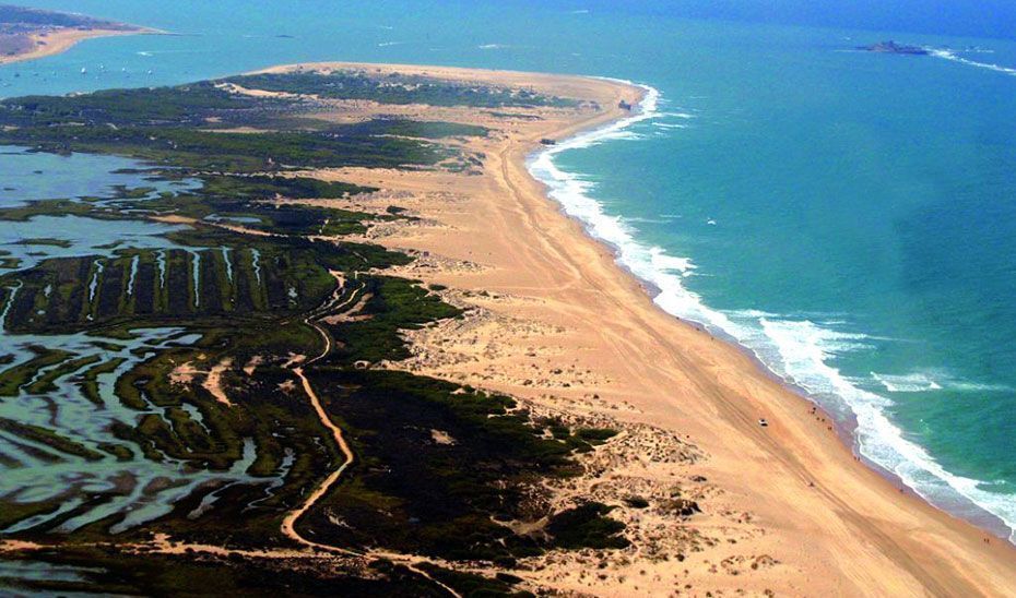 El Gobierno andaluz pone en marcha un proyecto piloto de carbono azul en la Bahía de Cádiz