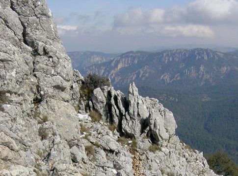 La Junta aprueba los planes de desarrollo sostenible de tres parques naturales andaluces
