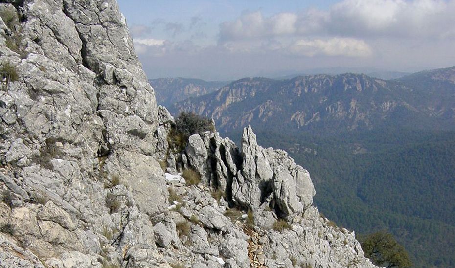 La Junta aprueba los planes de desarrollo sostenible de tres parques naturales andaluces