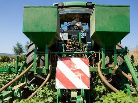 Agricultura abona en solo tres años ayudas a 3.725 jóvenes agricultores por un importe de 105 millones