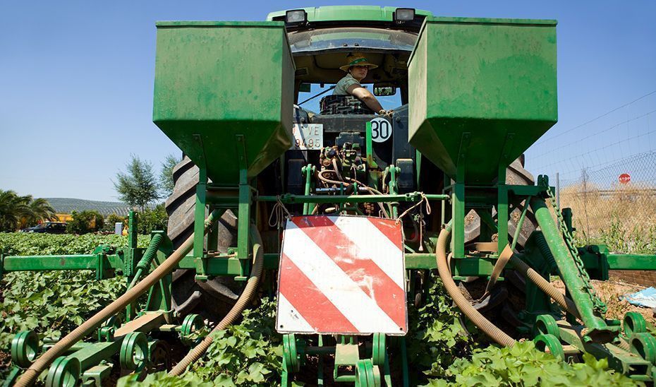 Agricultura abona en solo tres años ayudas a 3.725 jóvenes agricultores por un importe de 105 millones