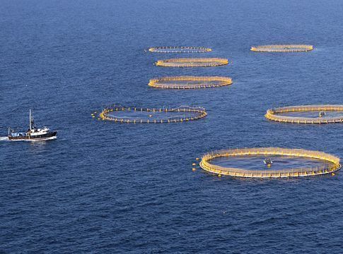 Ayudas por 1,2 millones para empresas acuícolas con exigencias medioambientales en espacios protegidos￼