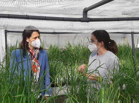 La estación experimental de BASF en Utrera sigue incorporando tecnología para investigar
