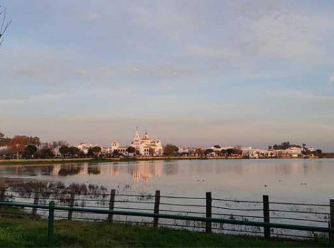 CCOO rechaza la proposición de PP-Cs-VOX para revisar el plan de la corona norte forestal de Doñana