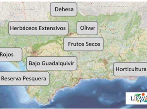 Los frutos rojos es uno de los ocho ecosistemas que estudiará el proyecto Indalo del Ifapa