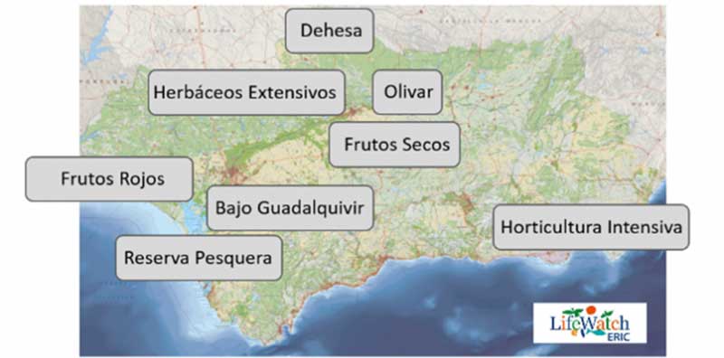 Los frutos rojos es uno de los ocho ecosistemas que estudiará el proyecto Indalo del Ifapa