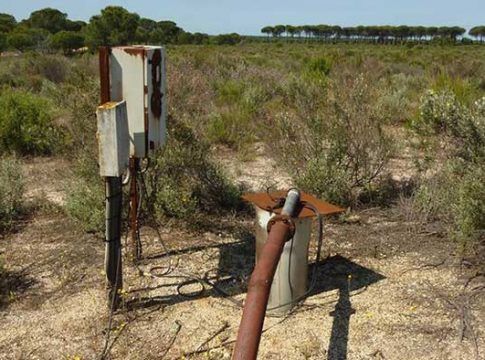 SEO/BirdLife rechaza «amnistiar regadíos ilegales en el entorno de Doñana acelerando su extinción»