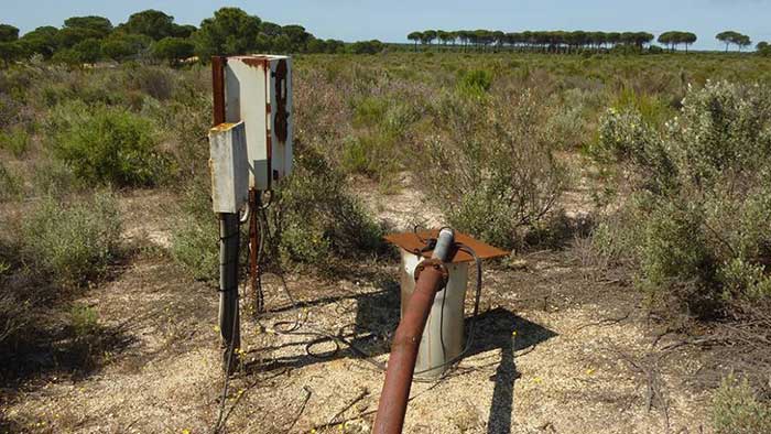 SEO/BirdLife rechaza «amnistiar regadíos ilegales en el entorno de Doñana acelerando su extinción»
