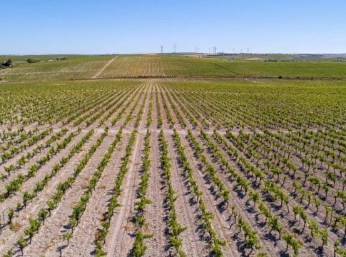CAAE amplía su acreditación para poder certificar bajo el Nuevo Reglamento 848 de producción ecológica