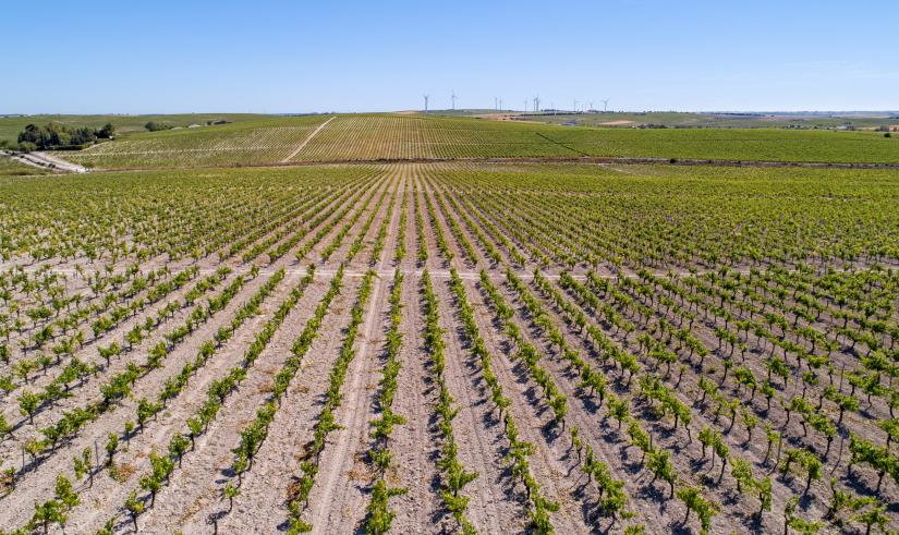 CAAE amplía su acreditación para poder certificar bajo el Nuevo Reglamento 848 de producción ecológica