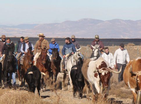 Encierros, toros y trashumancia en el Geoparque de Granada