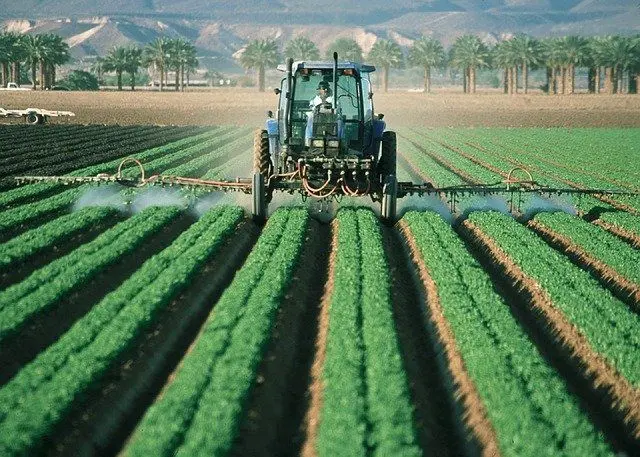 El sector agrario andaluz “no puede más” y retoma las movilizaciones “por la grave crisis de precios y la insoportable subida de costes”