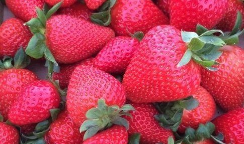 Huelva, la segunda provincia andaluza exportadora de frutas durante enero y octubre de 2021