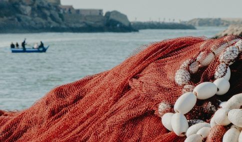 Proponen un protocolo común de actuación en los puertos para garantizar la correcta gestión de los residuos de artes de pesca