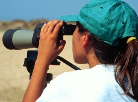 El Gobierno de Andalucía pone en marcha su nuevo Plan de Formación Ambiental para 2022￼